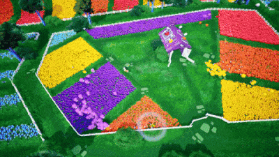 Animation of the game Sheepherds with the dogs herding sheep